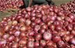 Onion hits two-year high of Rs 4,900 per quintal at Lasalgaon